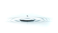 Water Drop Isolated