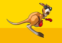 Fun Kangaroo