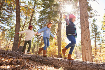 children having fun and balancing on tree in fall woodland