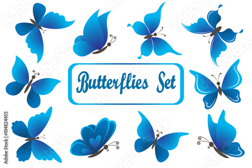 Fotografie, Obraz Set Blue Butterflies with Opened Wings Isolated on White Background