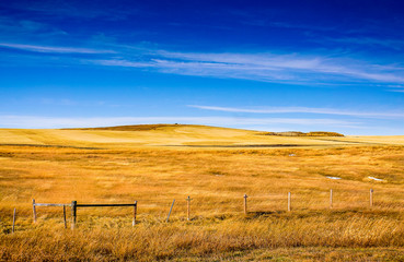 Autumn colors on Rural grasslands, Colorado, United States