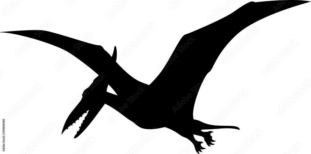 Pterodactyl vector silhouette Stock Vector | Adobe Stock