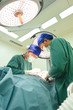 © nimon_t - two veterinarian surgeons in operating room