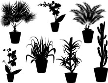 Set Of Seven Plants In Pots Silhouettes On White
