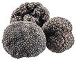 Black truffles. File contains clipping paths.