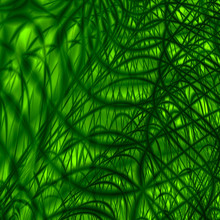 Abstract Green Fractal Background With An Organic Jungle Look