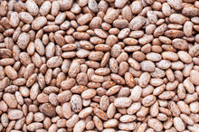 Healthy Brown Pinto Beans With High Fiber And Low Fat Contents,