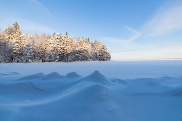 Wall Mural - Frozen lake shore and snow covered forest