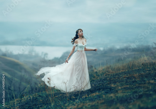 The girl in transparent dress with long flying pastel train stands on the top of Poster
