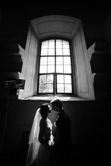 Wall Mural - bride and groom on the background of a window.