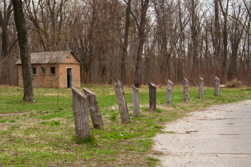 house in a park near the road