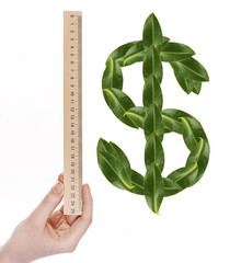 Poster - Dollar sign made of green leaves and hand with ruler isolated on white