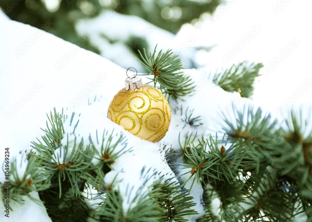 Christmas toy on a snowy fir tree branch