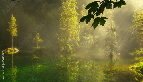Zdjęcie XXL Małe jezioro leśne