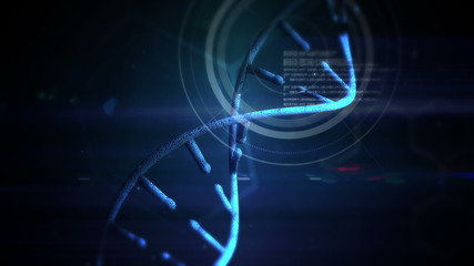 Poster - Video of a DNA matrix 