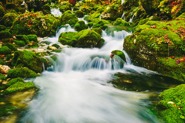 Wall Mural - Gorgeous scene of creek in colorful autumnal forest