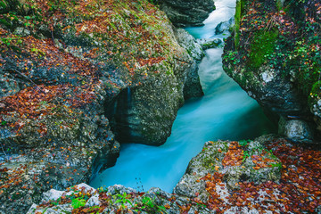 Wall Mural - Fantastic view of the canyon Mostnica