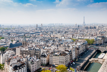 Top view from Notre Dame Cathedral in Paris, France.