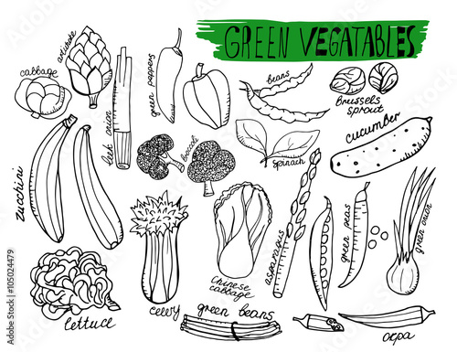Fotografie, Obraz Green vegatables. Hand drawn outline vector objects