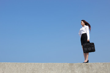 Wall Mural - Successful business woman look