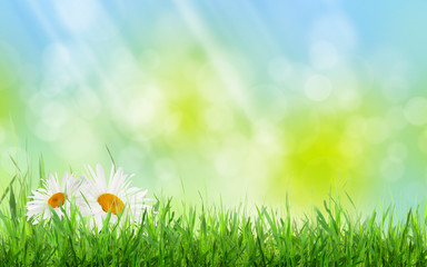 Poster - Abstract sunny spring background