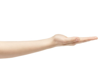 Wall Mural - empty young female hand to hold something straight, isolated on white background