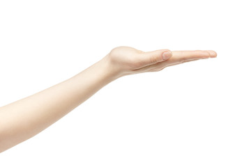 Wall Mural - empty young female hand to hold something straight, isolated on white background