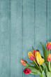Bouquet of Tulips on Blue Wood Plank Background