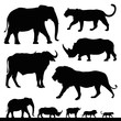 big five african safari animals
