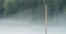 Time Lapse Of Morning Fog Flowing Between Electric Lines In Front Of A Forest