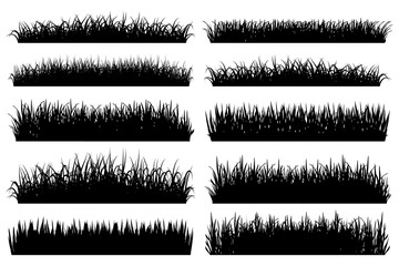 Grass borders silhouette on white background