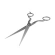 © 2dmolier - Professional Haircutting Scissors on white