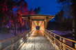 Wooden bridge in the forest park. Night multicolored lights.