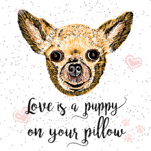 Love Is A Doggy On Your Pillow, Drawn Card And Lettering Calligraphy Motivational Quote For Dog Lovers And Typographic Design. Cute, Friendly, Smiling, Inspirational Doggy With Hearts And Sparkle. 
