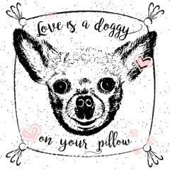 Love is a doggy on your pillow, drawn card and lettering calligraphy motivational quote for dog lovers and typographic design. Cute, friendly, smiling, inspirational doggy with hearts and sparkle. 