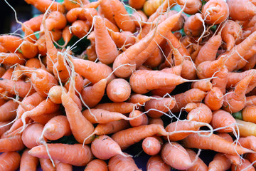 carrots