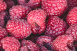 Organic rasberries for sale at a market. Organic rasberries, juicy organic natural healthy and nutritional sweet super fruit.