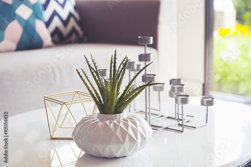 Fotografie, Obraz green plant in a vase and candle stand in living room
