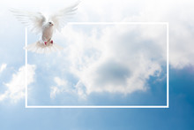 Sky Funeral Background