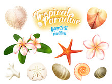 Set Of Tropical Nature Objects: Sea Shells, Plumeria Flowers (frangipani) Sand Dollar, Starfish And Water-worn Pebbles. Isolated On White Vector Illustration, Eps10.