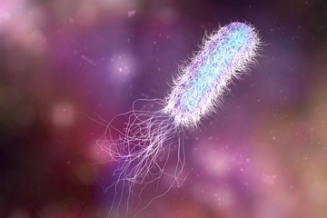 Canvas Print - Bacterium Pseudomonas aeruginosa on colorful background, antibiotic-resistant nosocomial bacterium. Illustration shows polar location of flagella and presence of pili on the bacterial surface