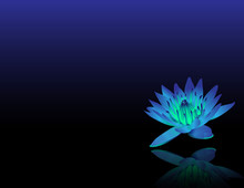 Blue Lotus Reiki Chakra Flower