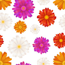 Colourful Gerbera Flowers Isolated On White, Seamless Pattern