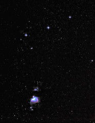Wall Mural - m42 in orion