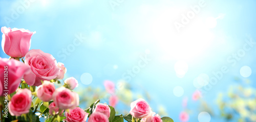 Pink rose against sky