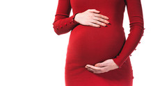 Pregnant Woman Belly Close-up Isolated