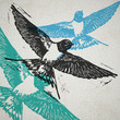 Vector Swallows in abstract composition