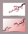 Set with beautiful Sakura, realistic vector