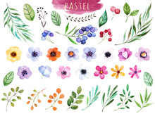 Colorful Floral Collection With Multicolored Flowers,leaves,branches,berries And More,Colorful Floral Collection With 37 Watercolor Elements.Set Of Floral Elements.Pastel Collection