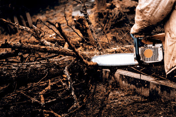 Wall Mural - Man sawing a log in his back yard